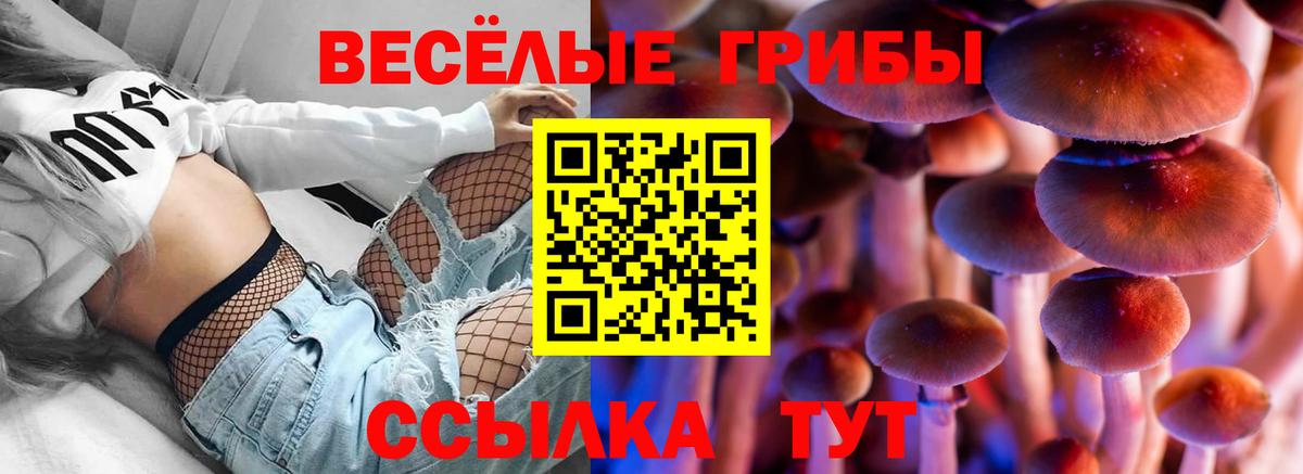 Галлюциногенные грибы Cubensis Тара